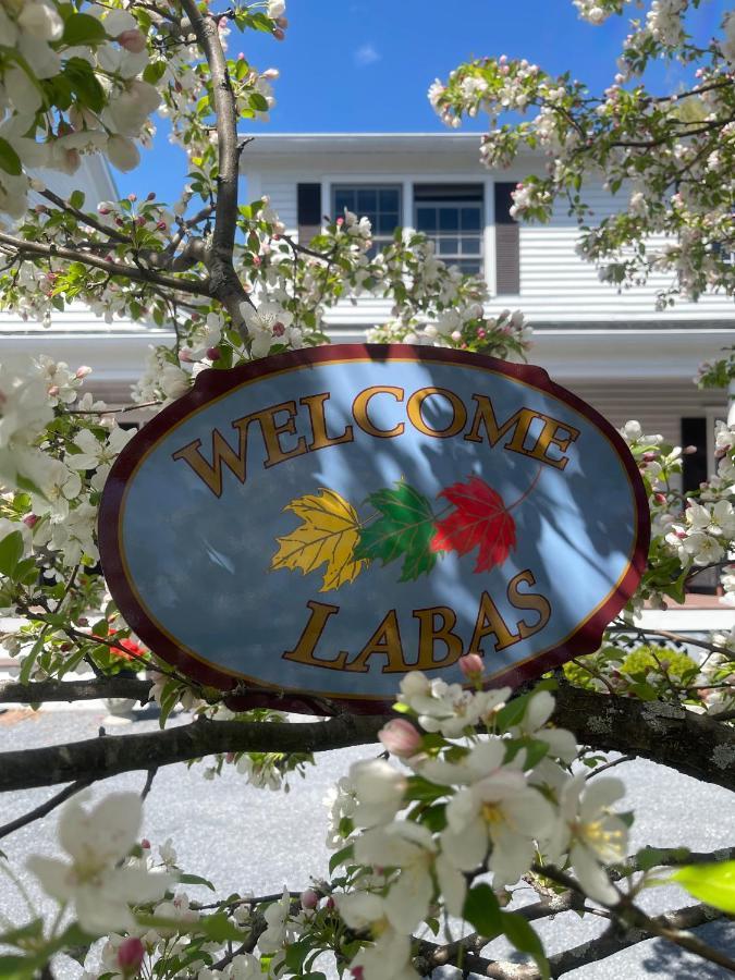 Williston Village Inn Burlington Eksteriør bilde