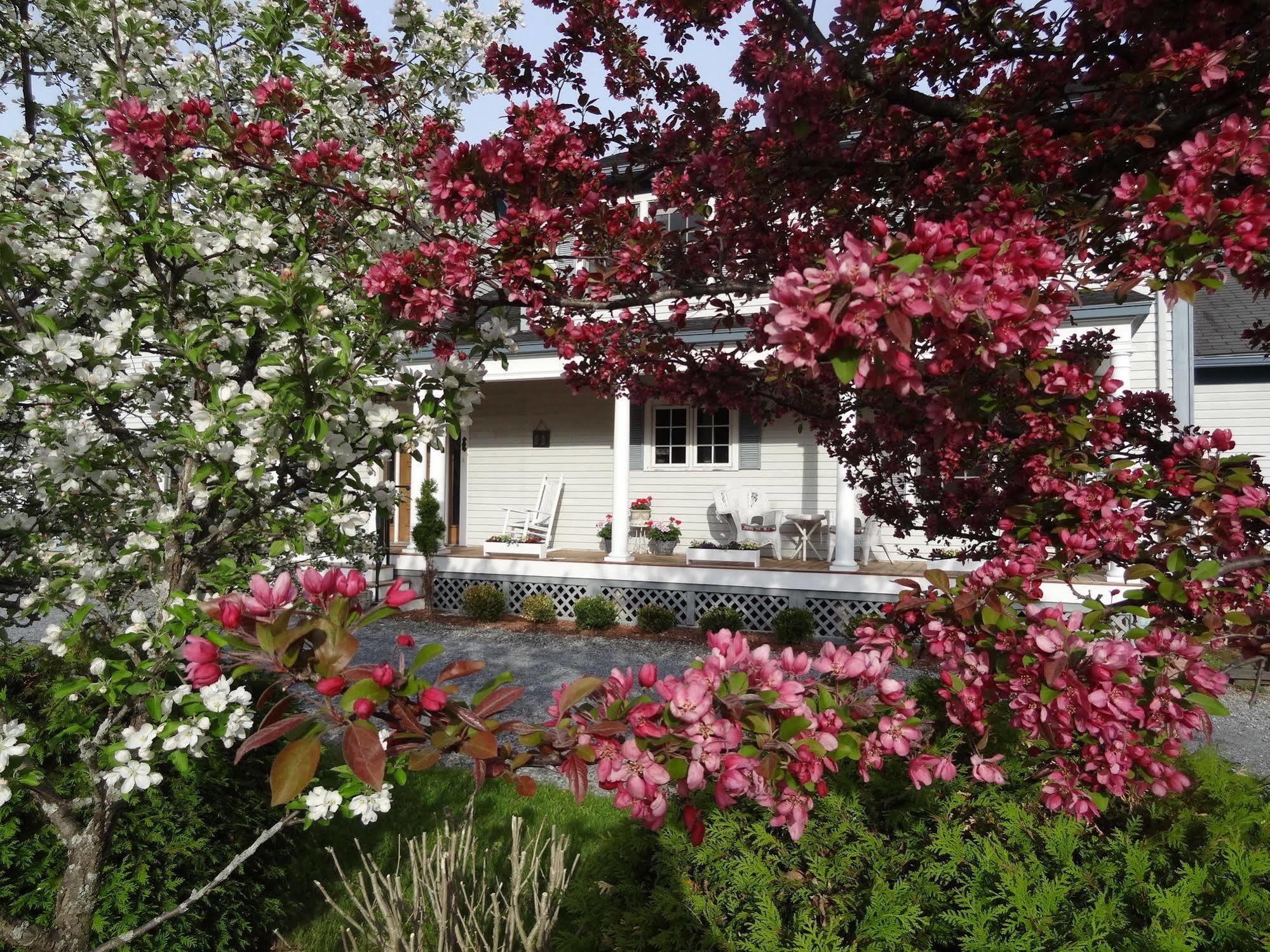 Williston Village Inn Burlington Eksteriør bilde